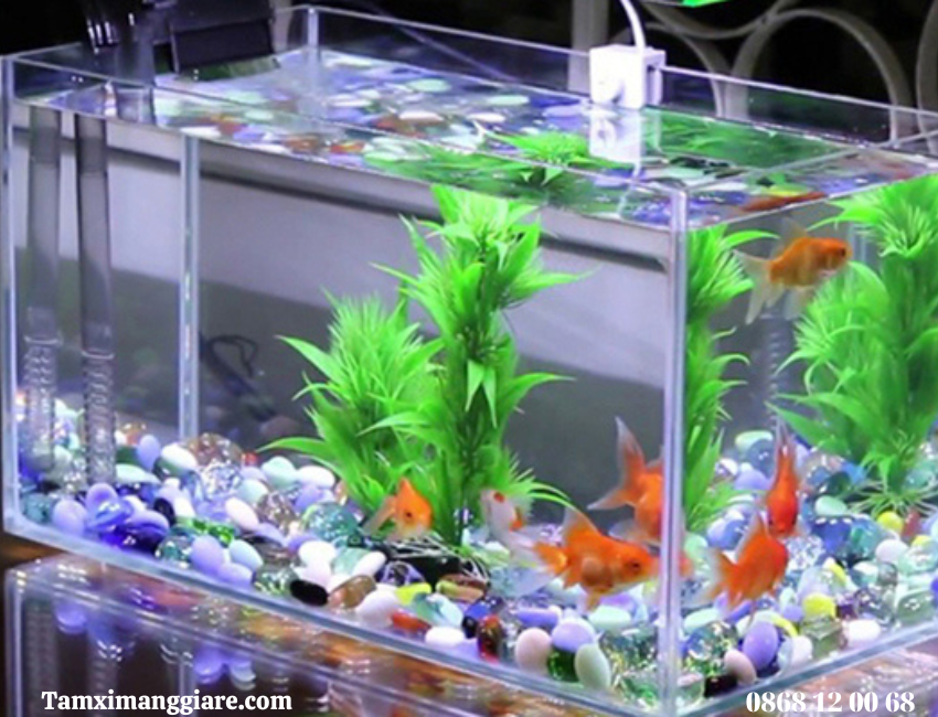 Bảng giá tấm Mica Mới nhất 2023